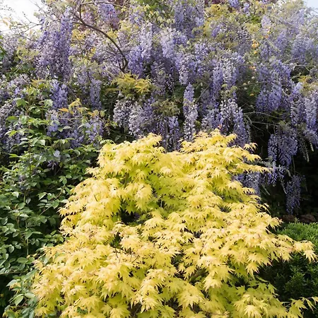 Manoir+piscine Chauffee : We Dimanche Inclus Donges