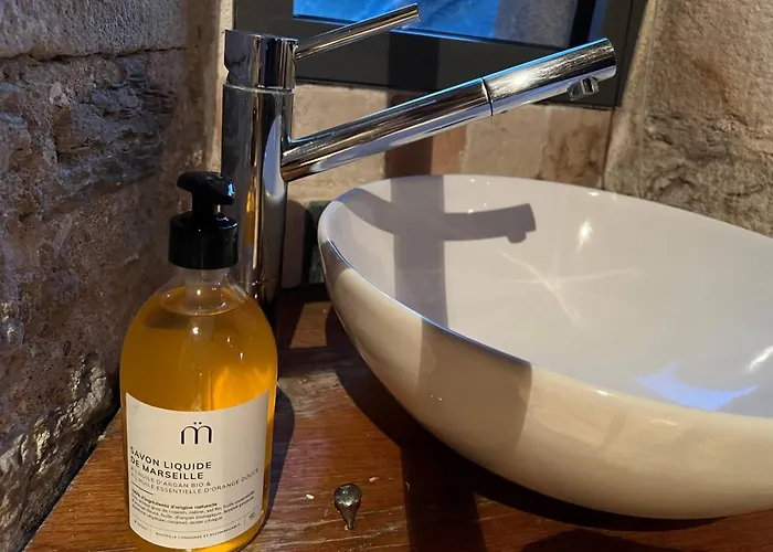 Manoir+piscine Chauffee : We Dimanche Inclus Ferienhaus Donges